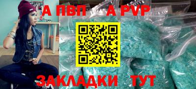 ешки Кингисепп