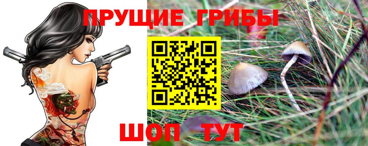 Галлюциногенные грибы Magic Shrooms  Вход с VPN  Галлюциногенные грибы мухоморы  Королёв 