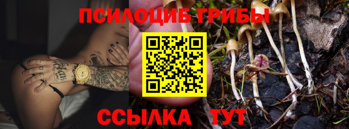 Псилоцибиновые грибы ЛСД Королёв